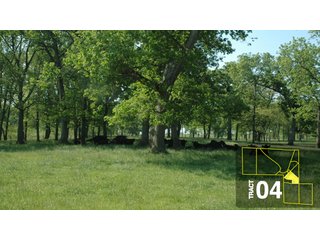 Property photo 20 - Land Auction 458+/- acres in 11 Tracts - Farmland, Woods